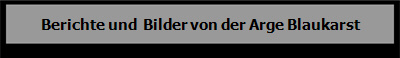 www.gummibaerenparadies.de